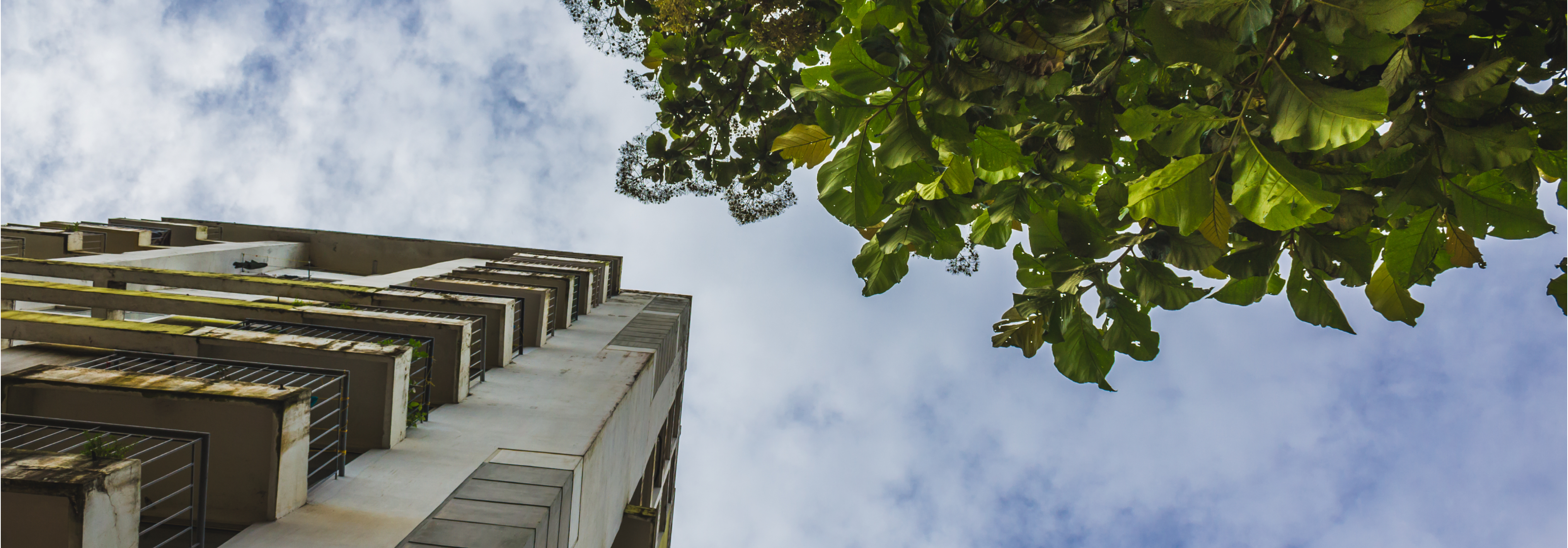 Innovation: Selling the 