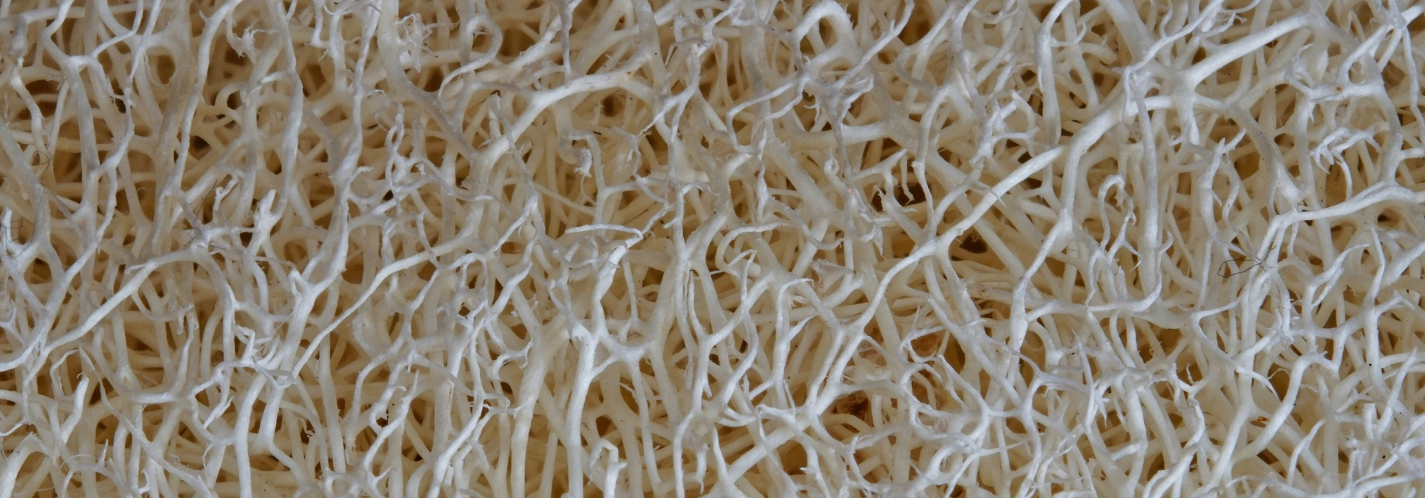 From Recycled Fiber Risk to Margin Certainty: The FiberTrace & Performance Optimizer